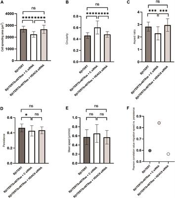 Regulation of cellular contractile force, shape and migration of fibroblasts by oncogenes and Histone deacetylase 6